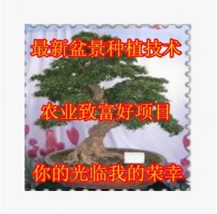  辰ֲ¼ȫƵ̳̲̽